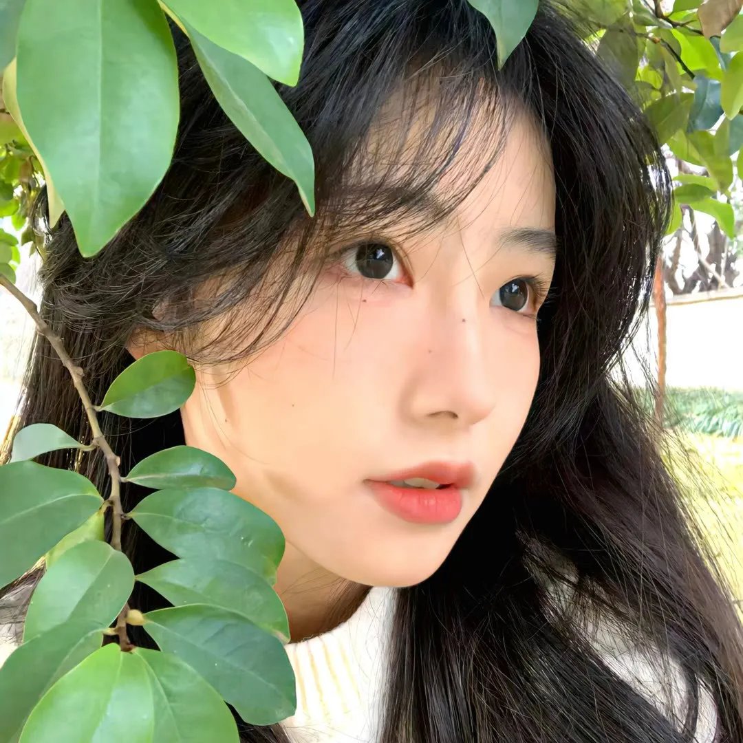 世界小姐秘史